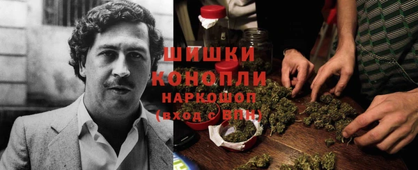 спиды Аркадак